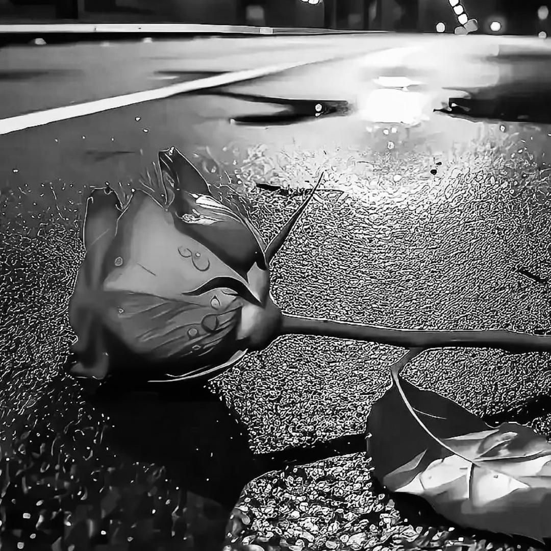 胡作非为的胡为