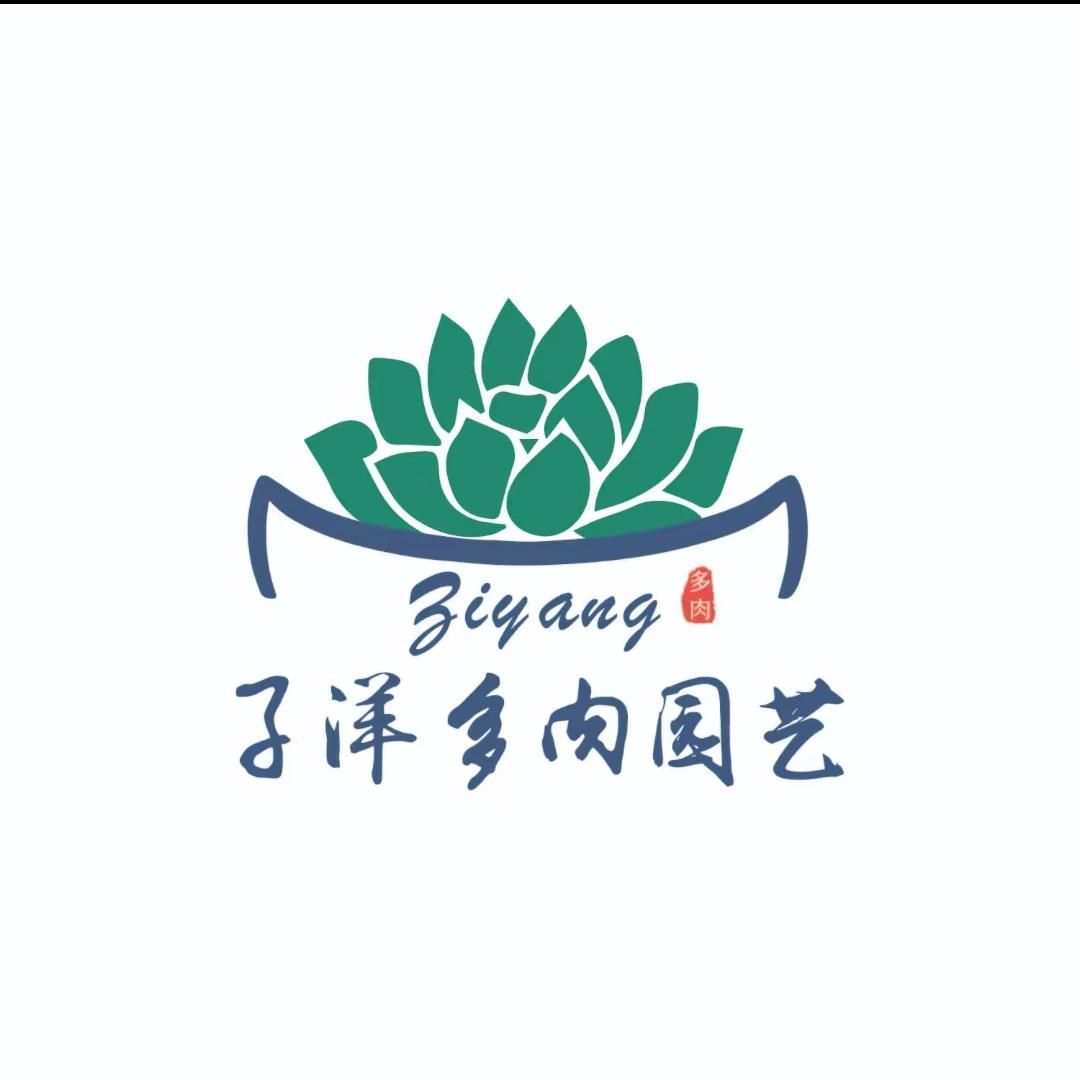 LYdr88888888