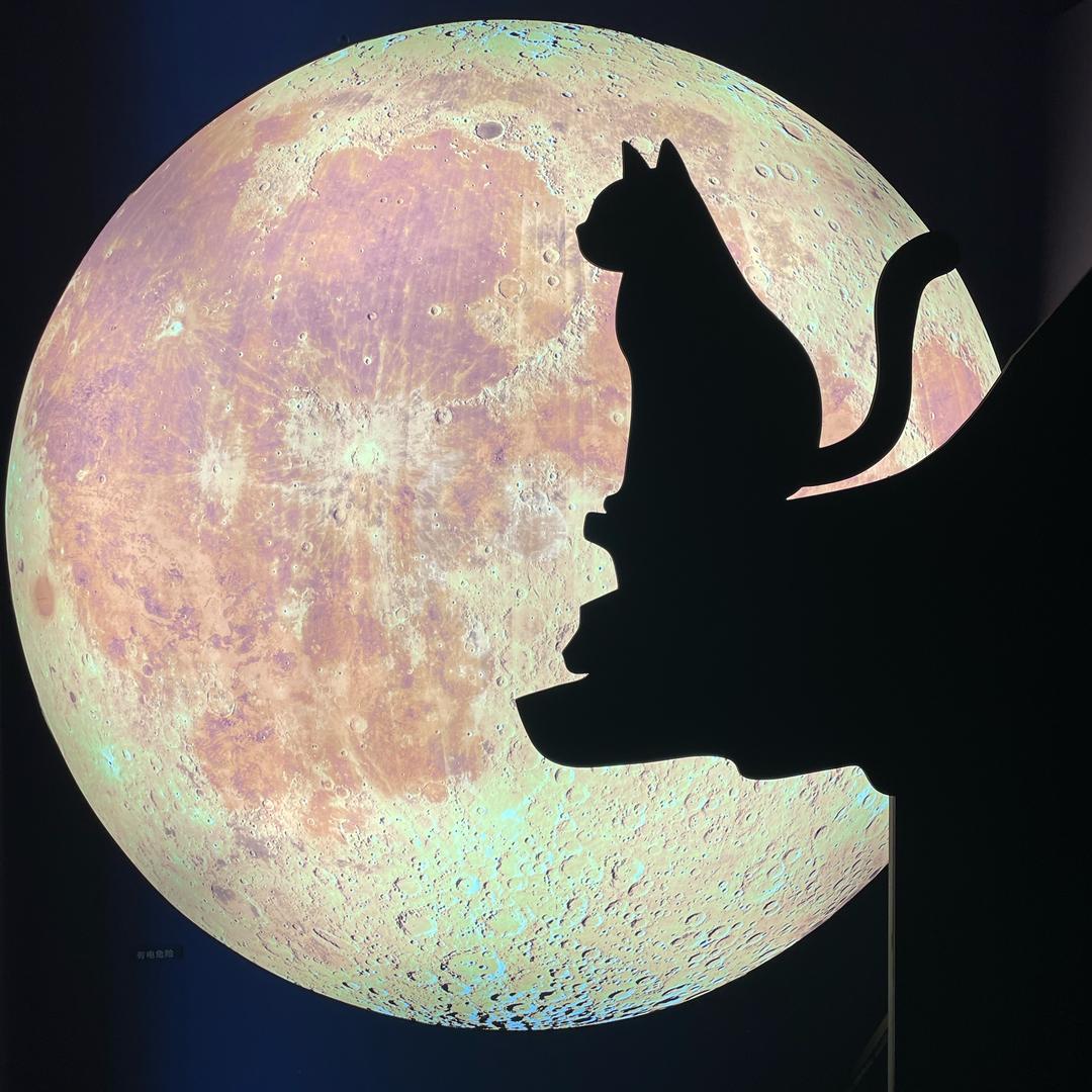 钱柚柚（奋斗）