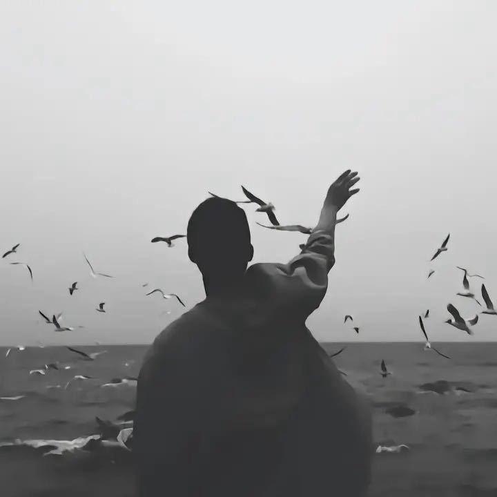 商厦电器（三塔韩彬家具家电城）