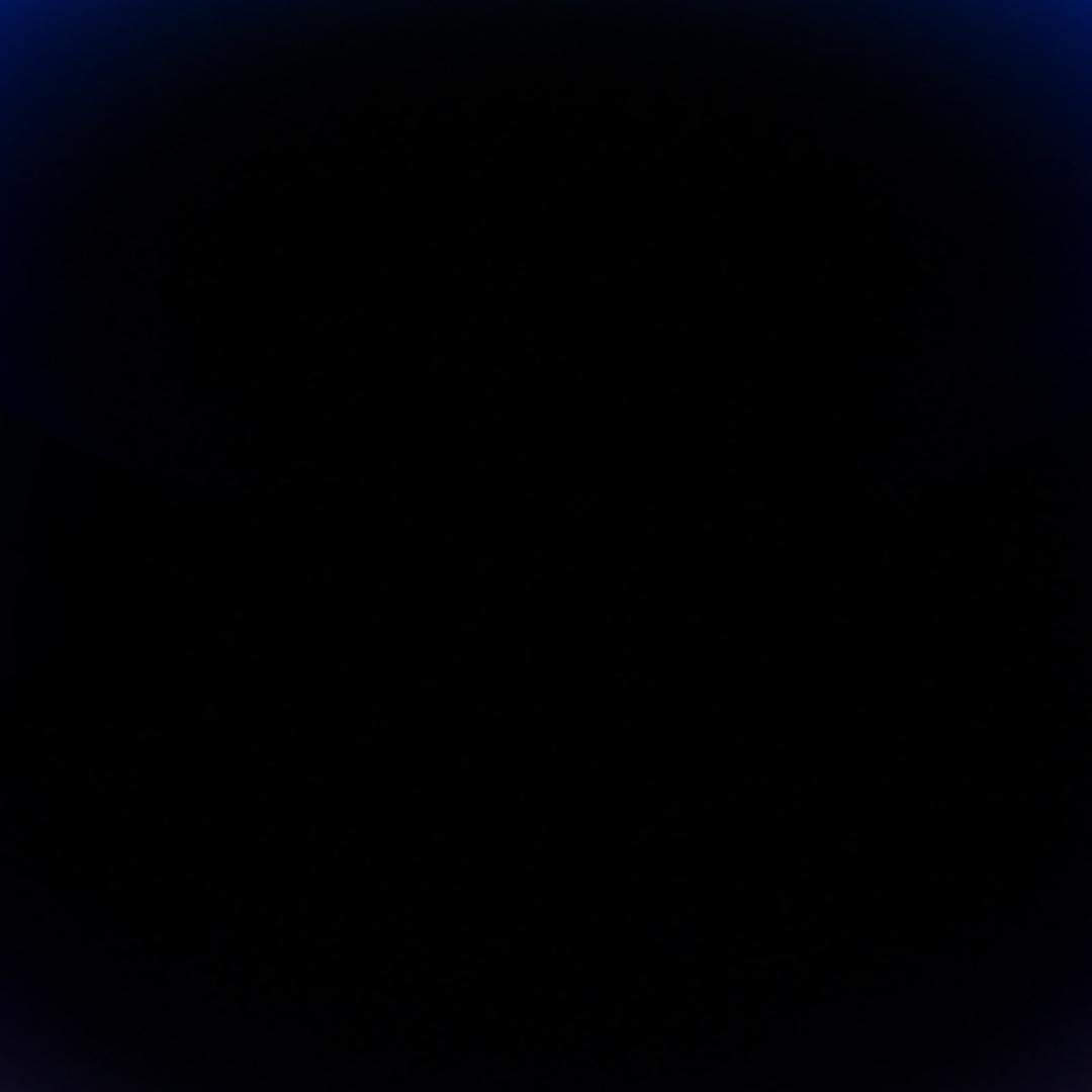 🐳🐳🐳🐳🐳