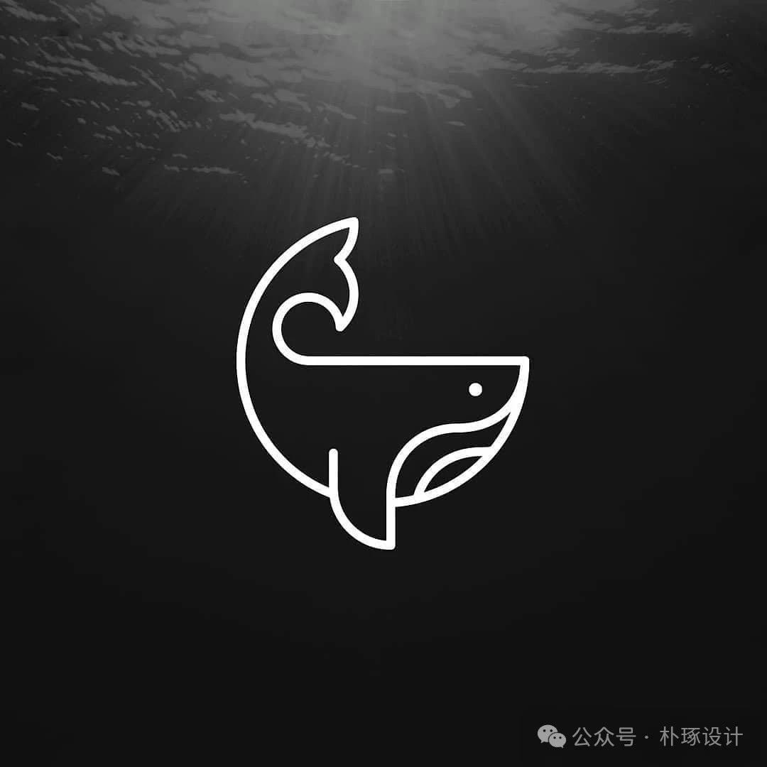 兔子大型猛鱼水族馆