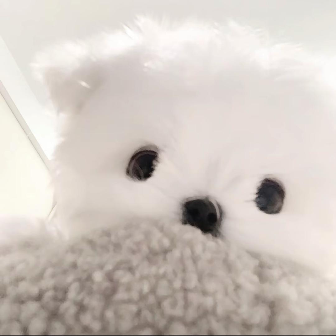 三天打鱼两天晒王
