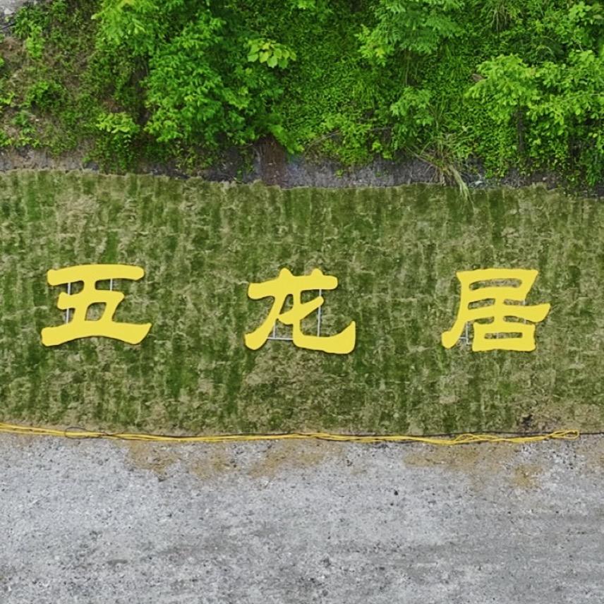 五龙居原野农庄