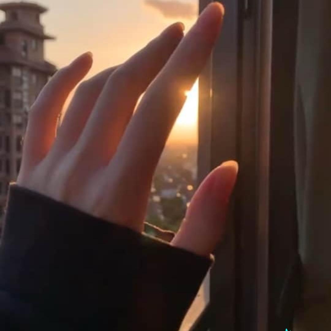 执子之手，与子携老