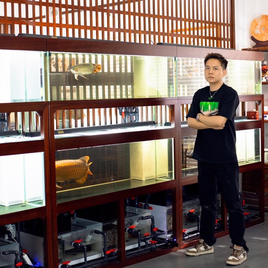 巴古斯龙鱼