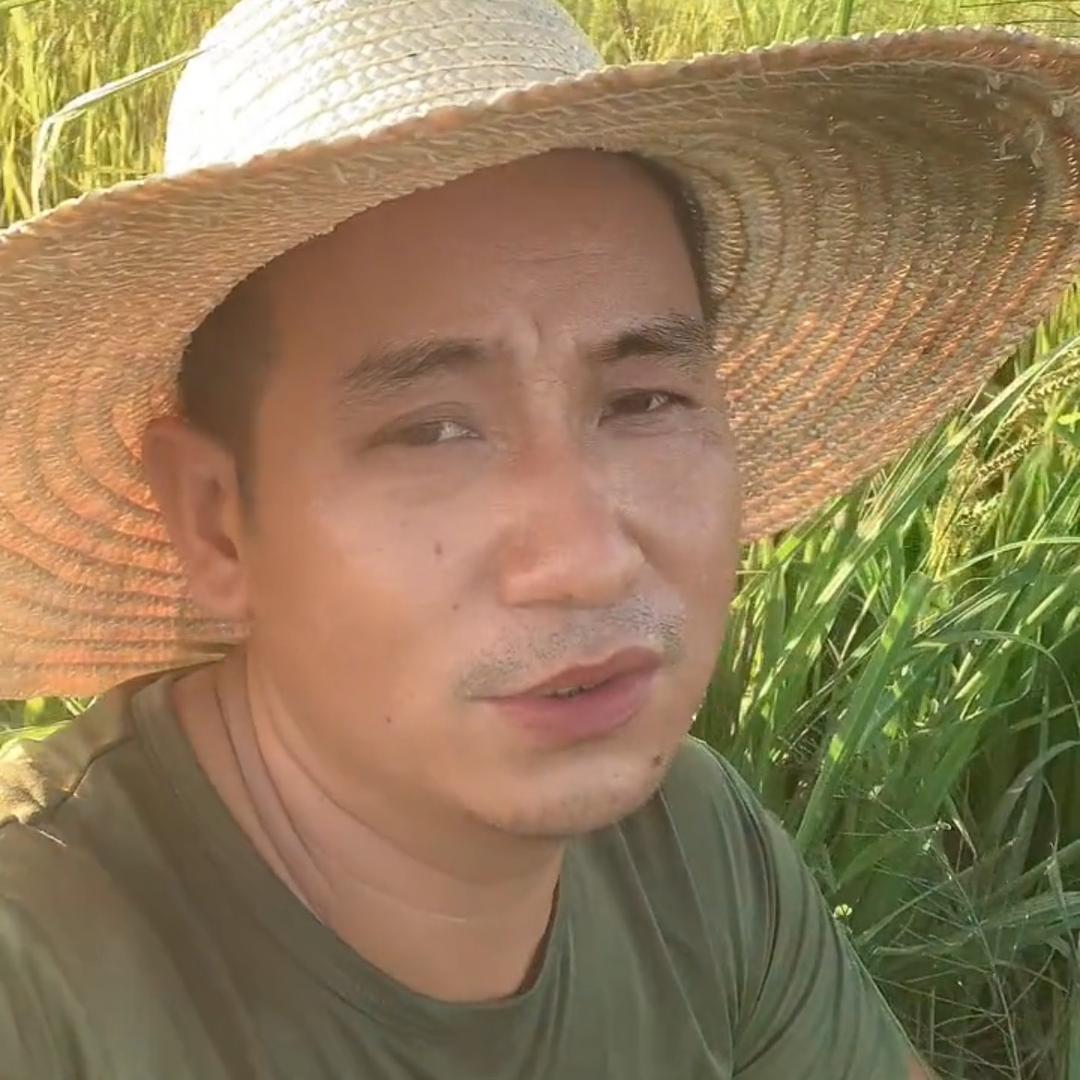 鄱阳水稻九哥农产品经销部