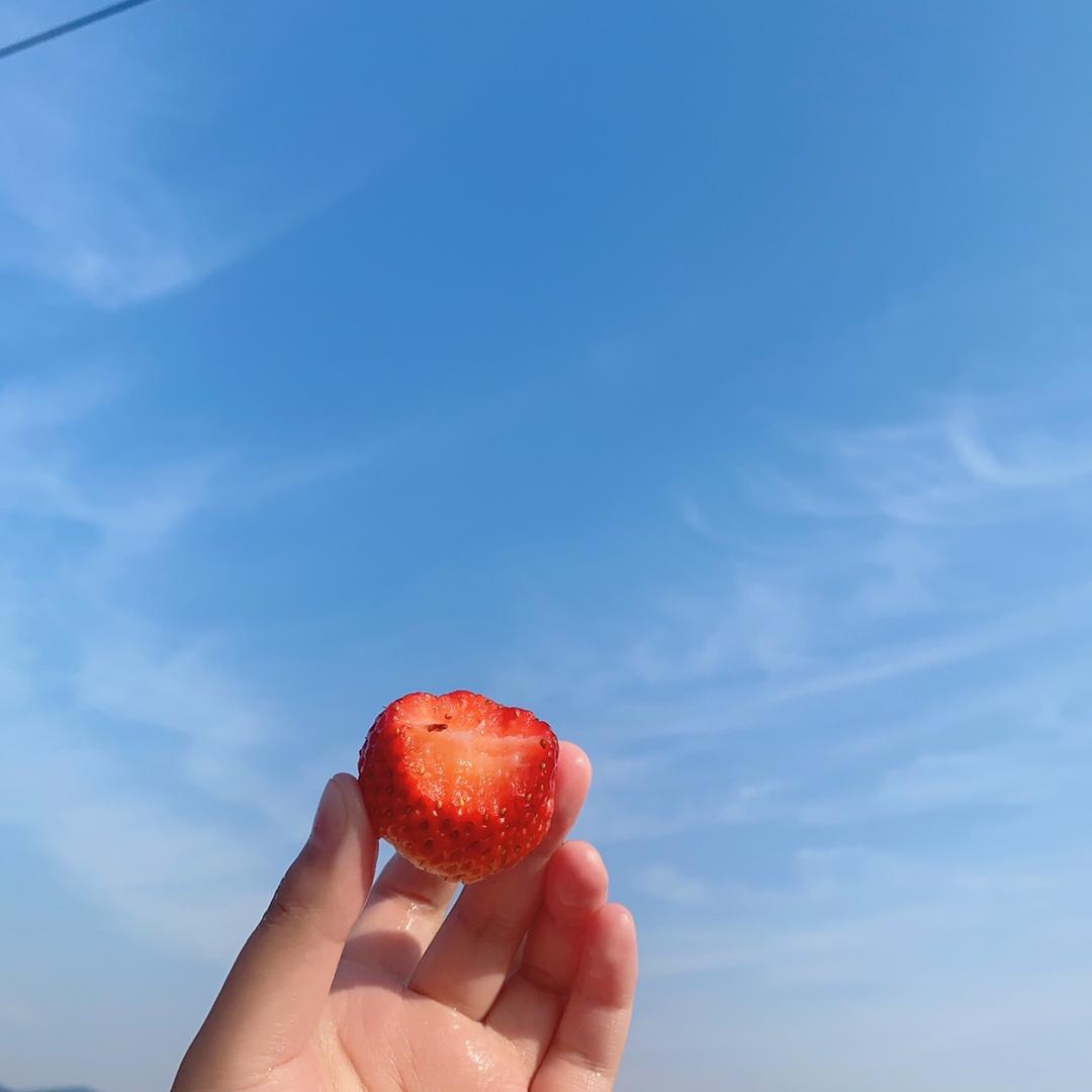 手写布丁