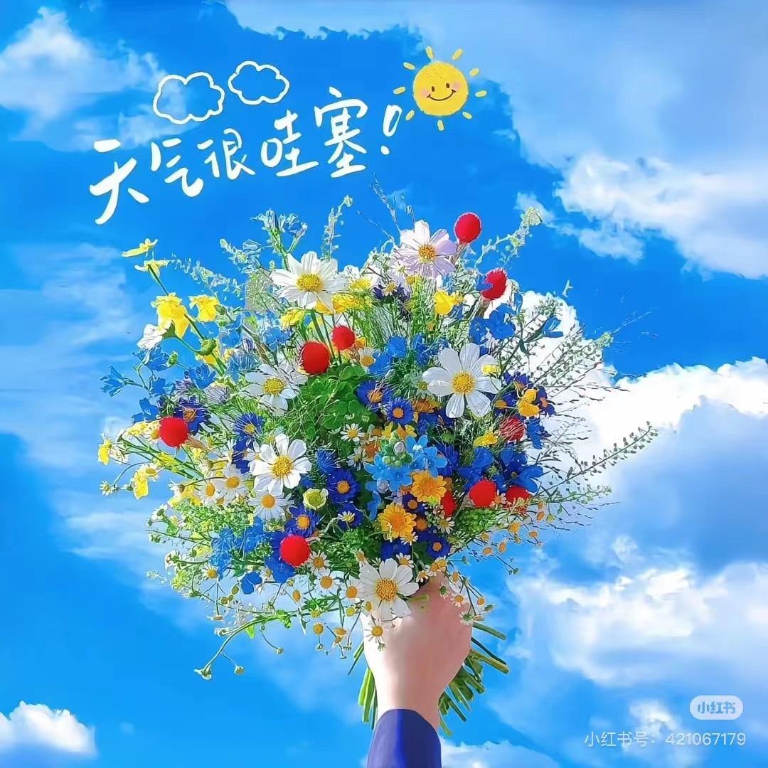 遥遥领先he 之华南总部