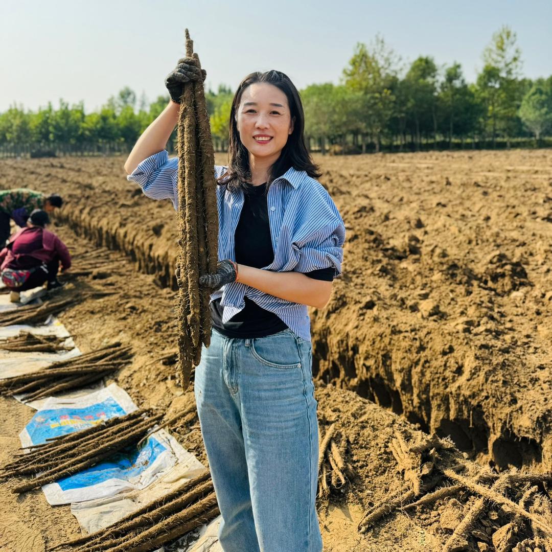 麻山药小妹