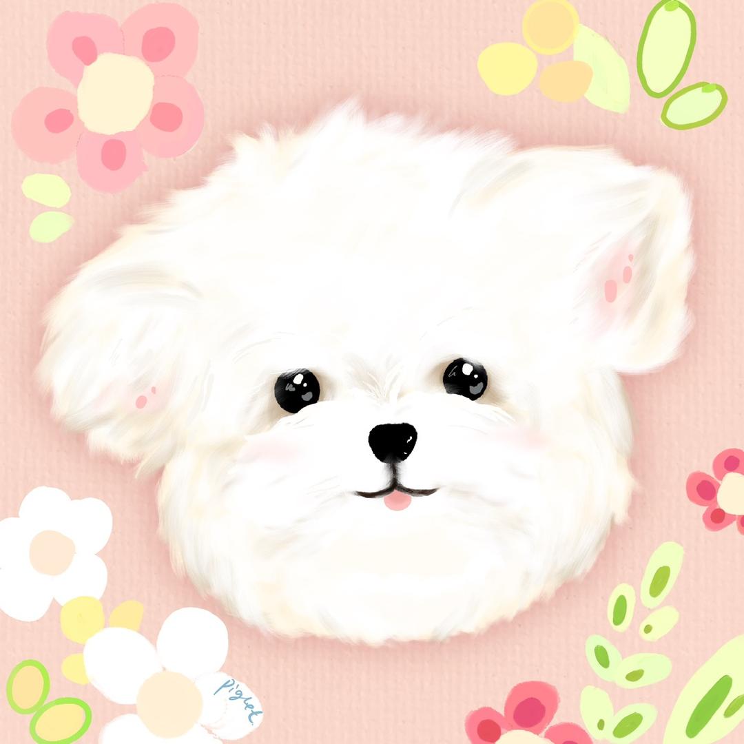 恭喜你发现我了