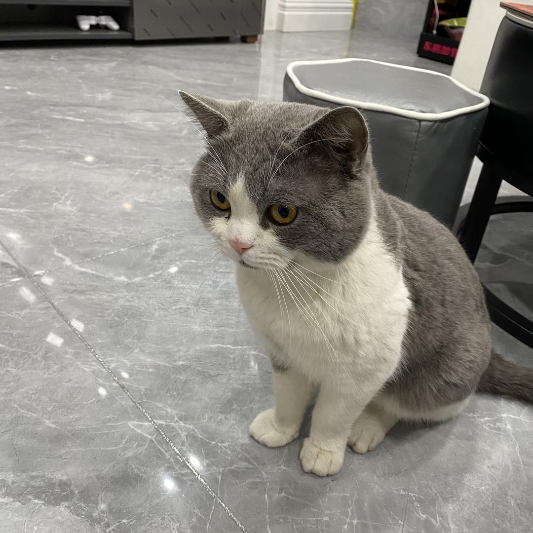 万汇精选