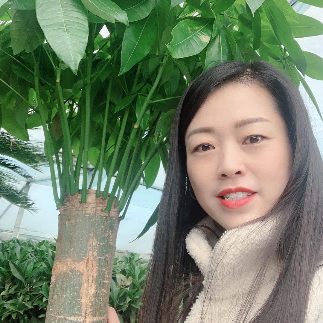 树木有情
