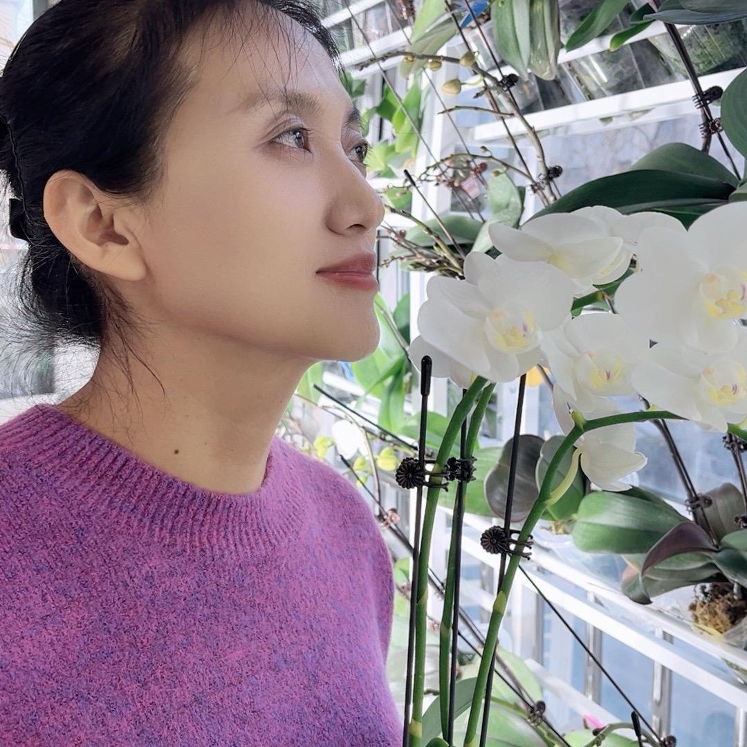 燕子的花园日记