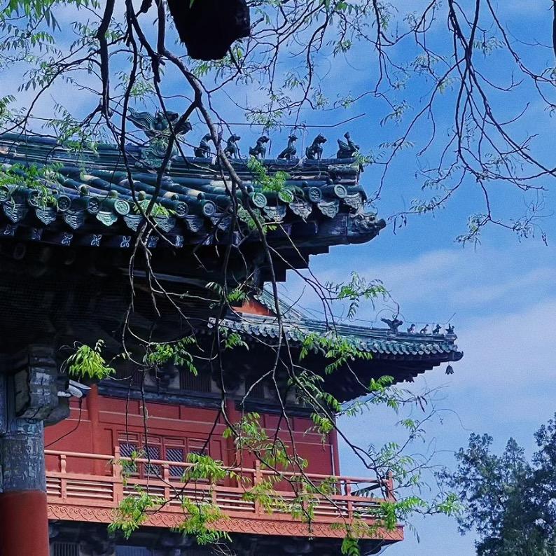 颐和文化