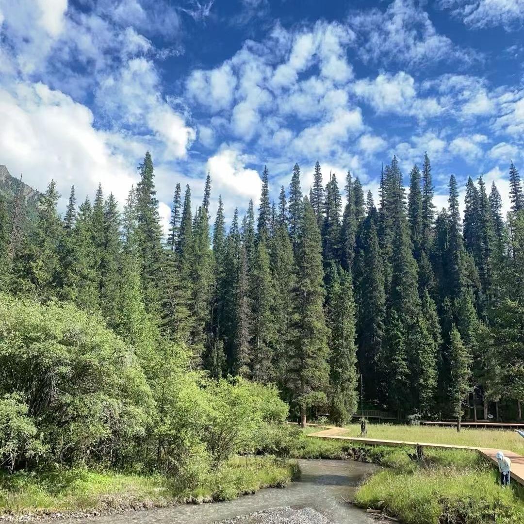 2025百分百强尔甲