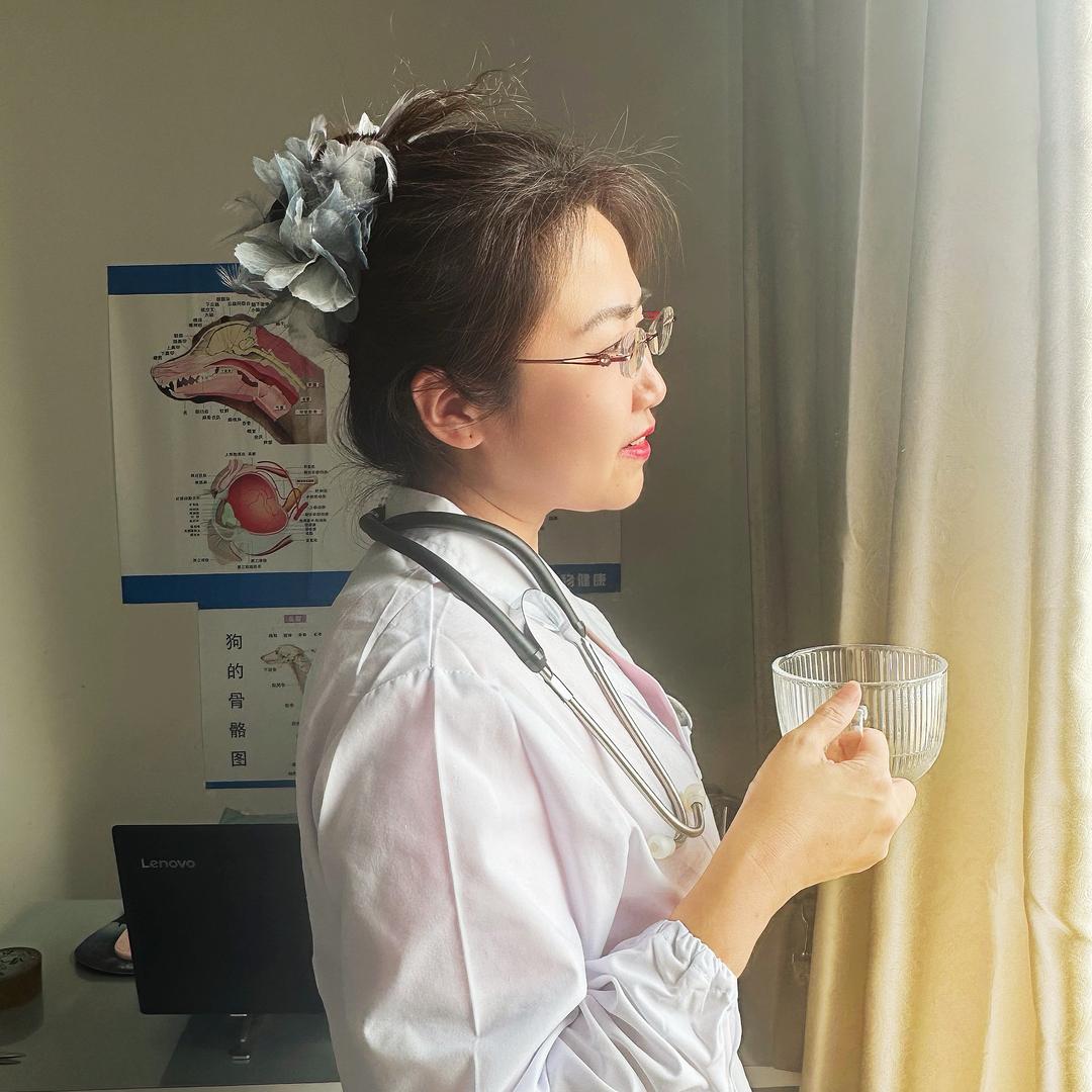 齐心宠医头像