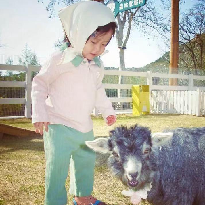 骑三轮的电动车