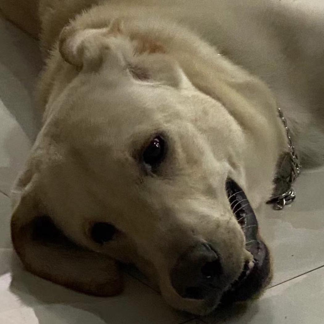 👻