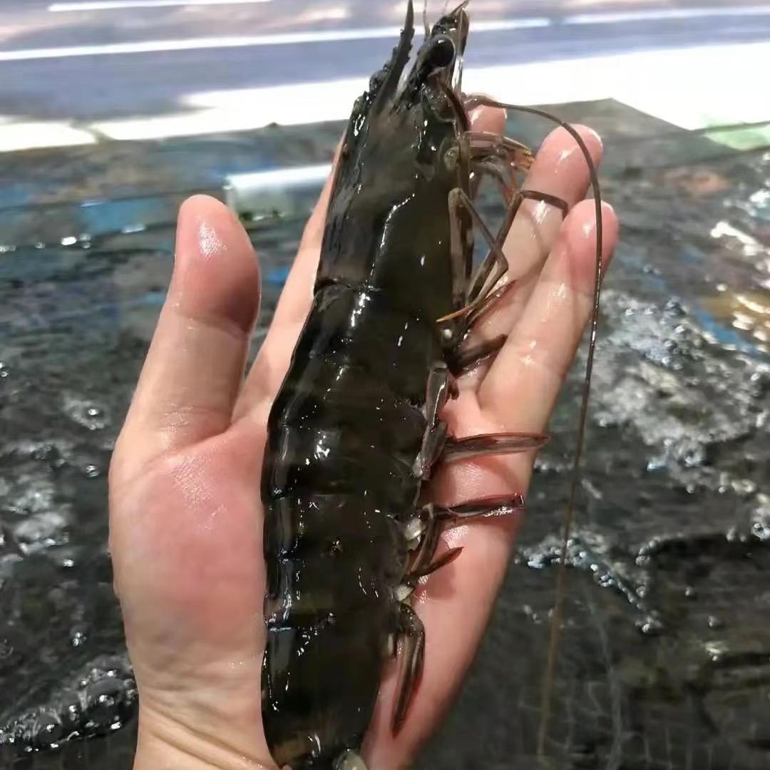 小鱼家生鲜
