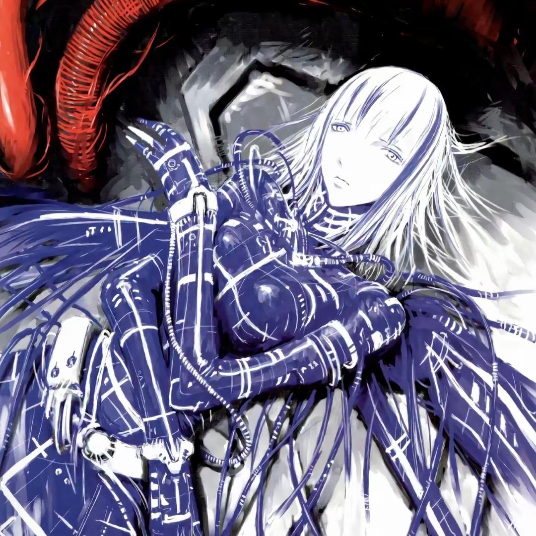 雪之下的猫物语