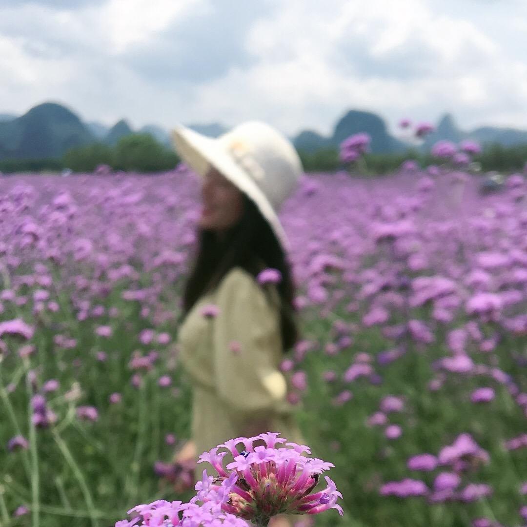 田螺姐姐