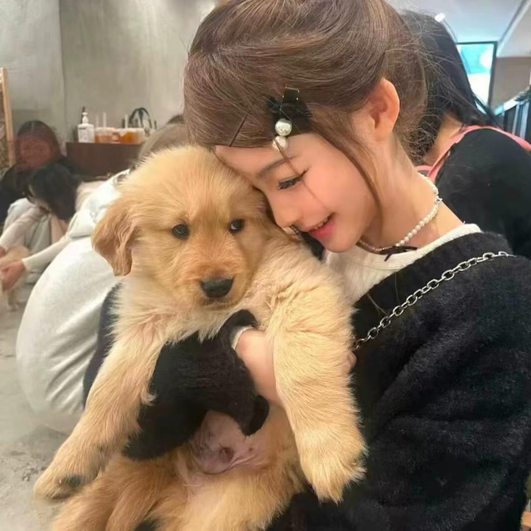 呆呆小娴^