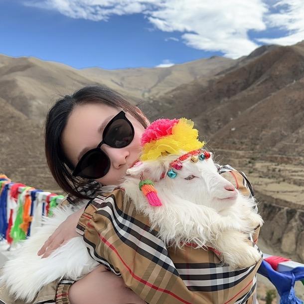 欣雨的养猪日记