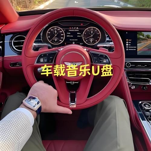 车载音乐U盘无损音质-陌利