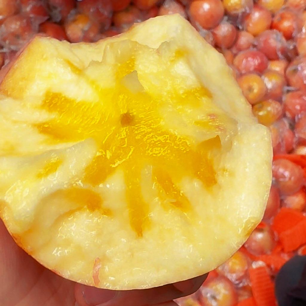 灵宝金果助农铺