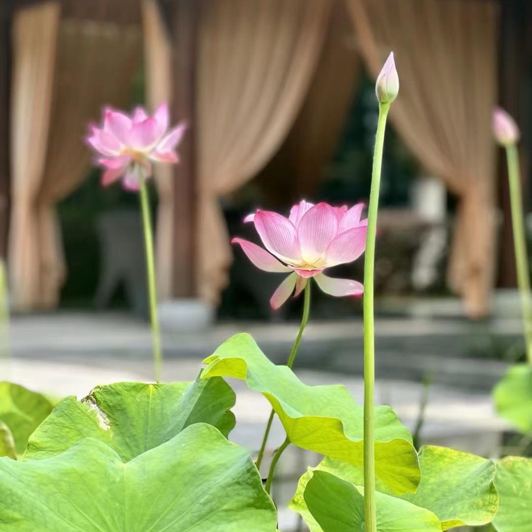 西咸新区秦汉新城智慧百货