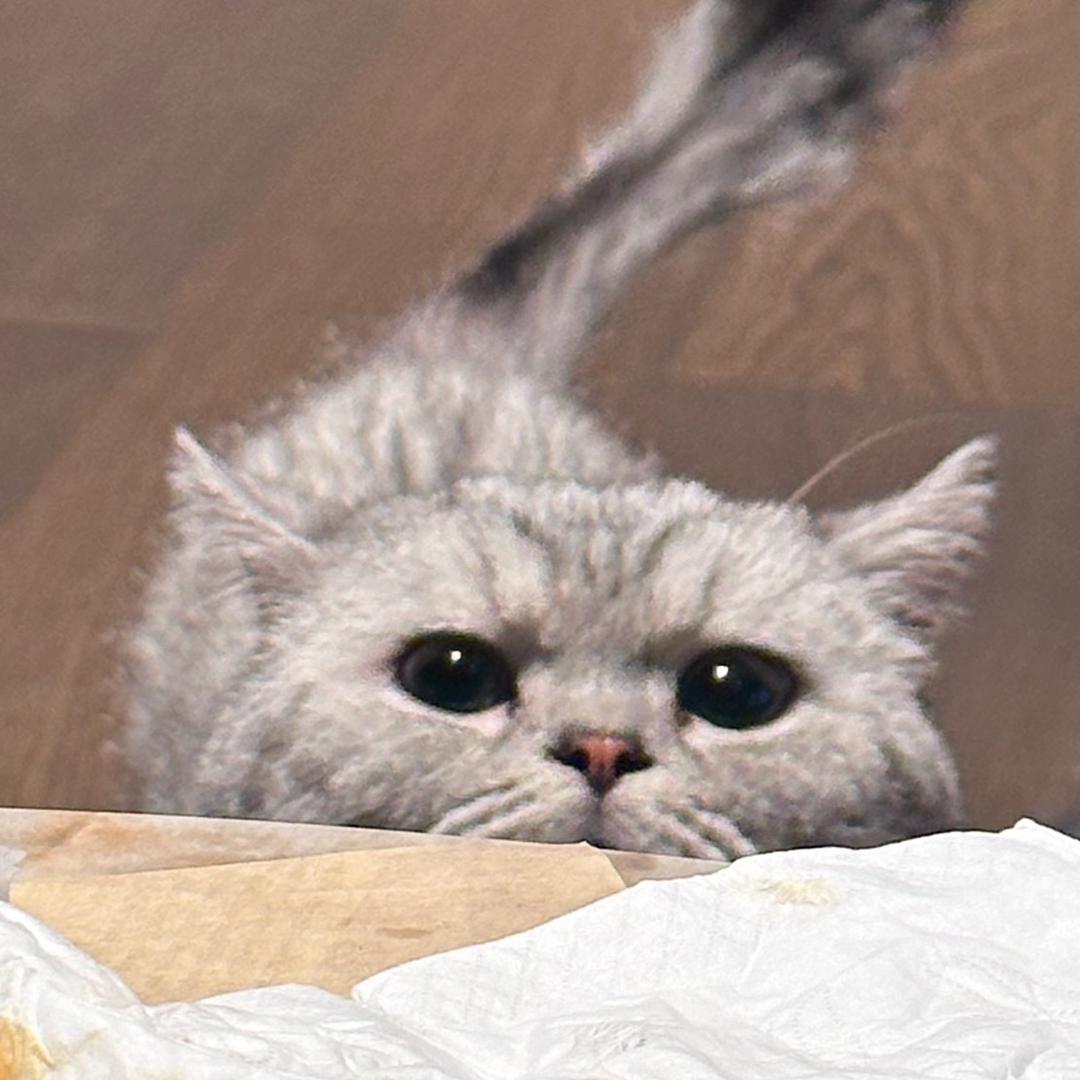 宗元圆