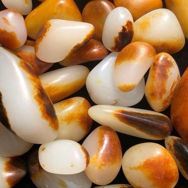 华哥籽玉（回流变现）