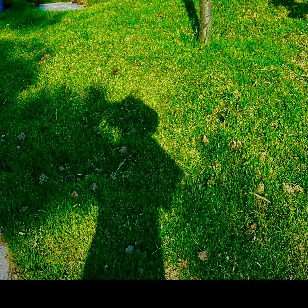 馥馥 （播客日更中）