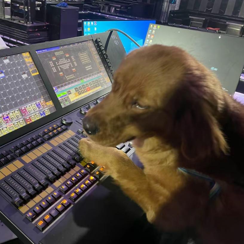 @小水豚噜噜⭕️