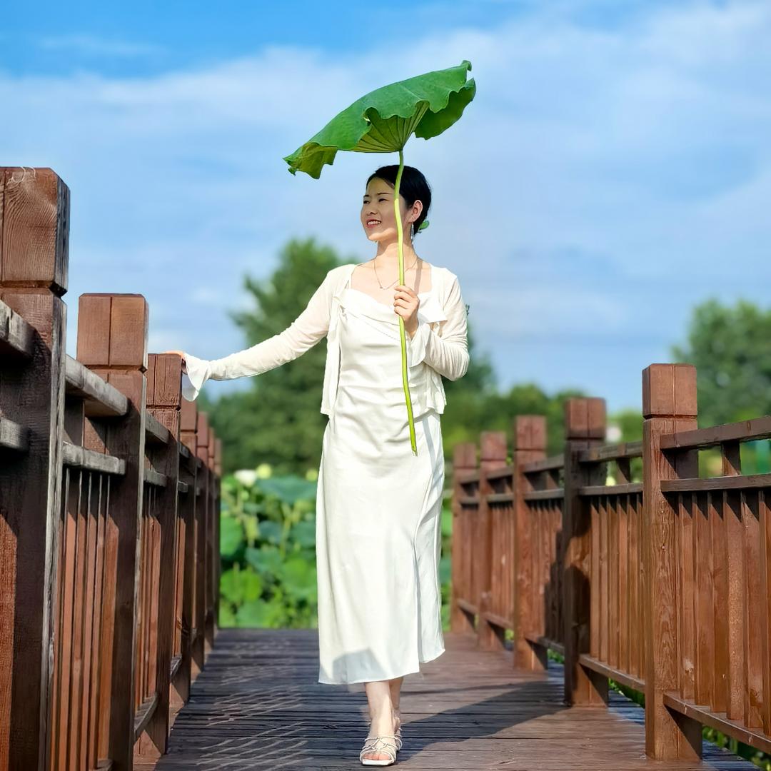 夏日懒杨杨