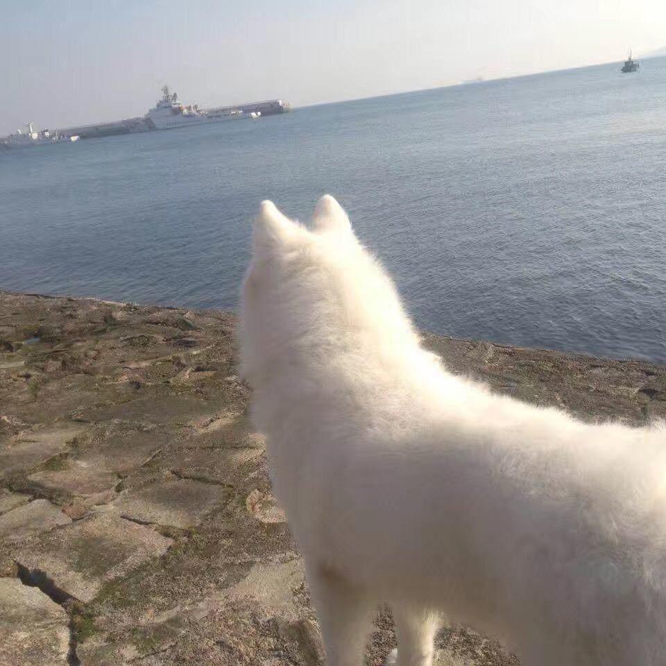 太阳神之子