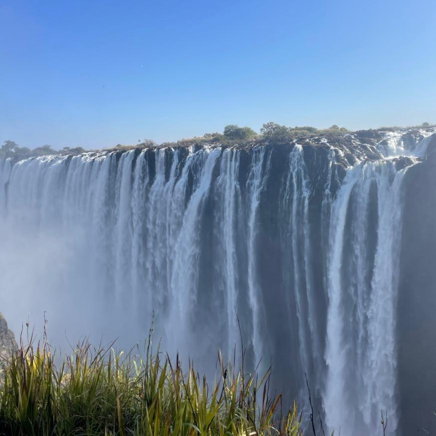 ❄️小趴菜❄️