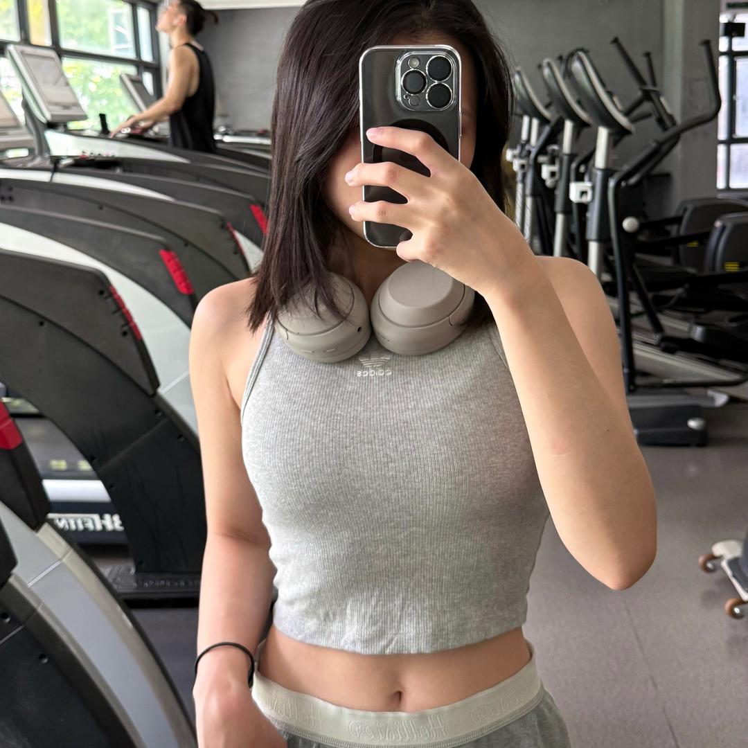 柯基不吃香菜