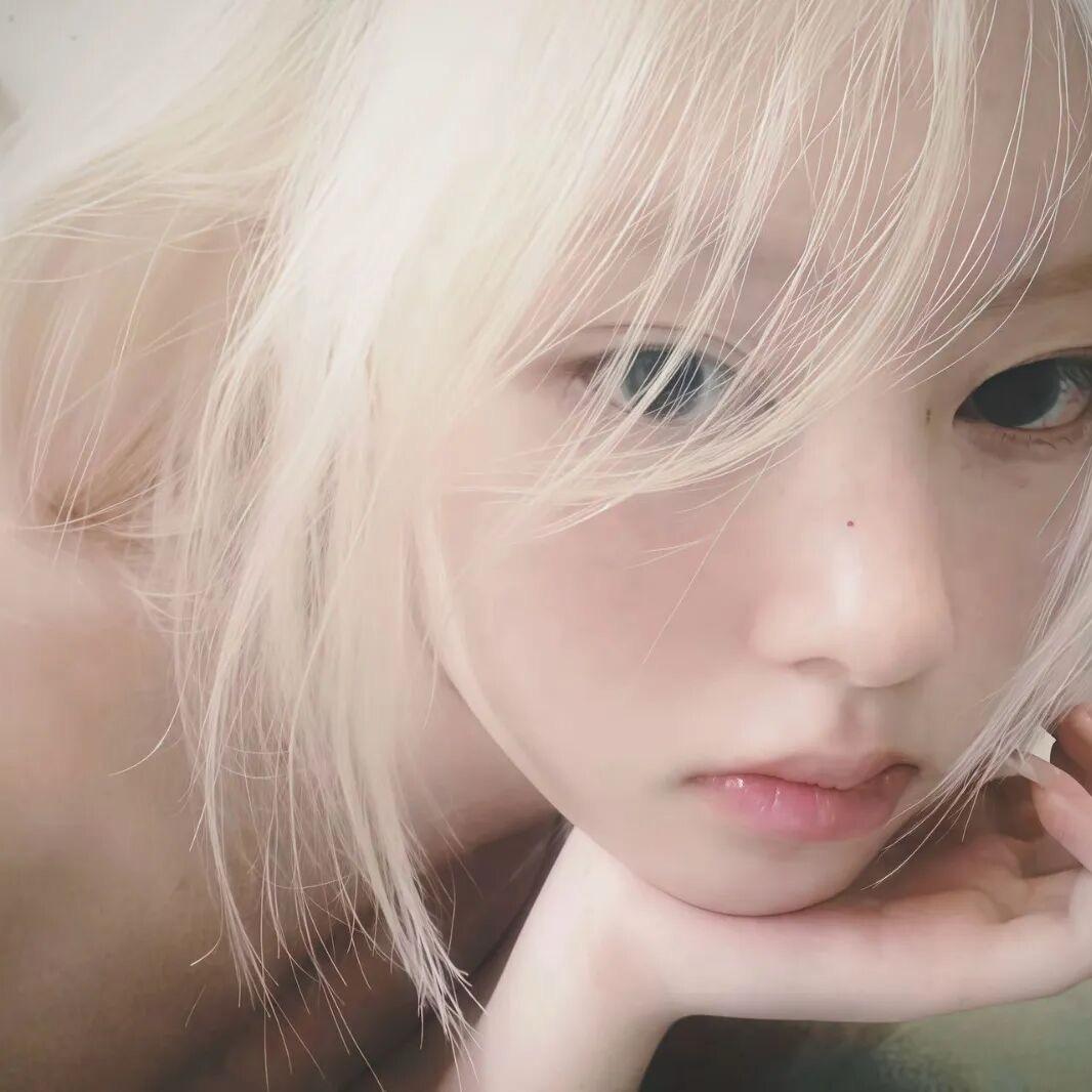 敏龟的感头
