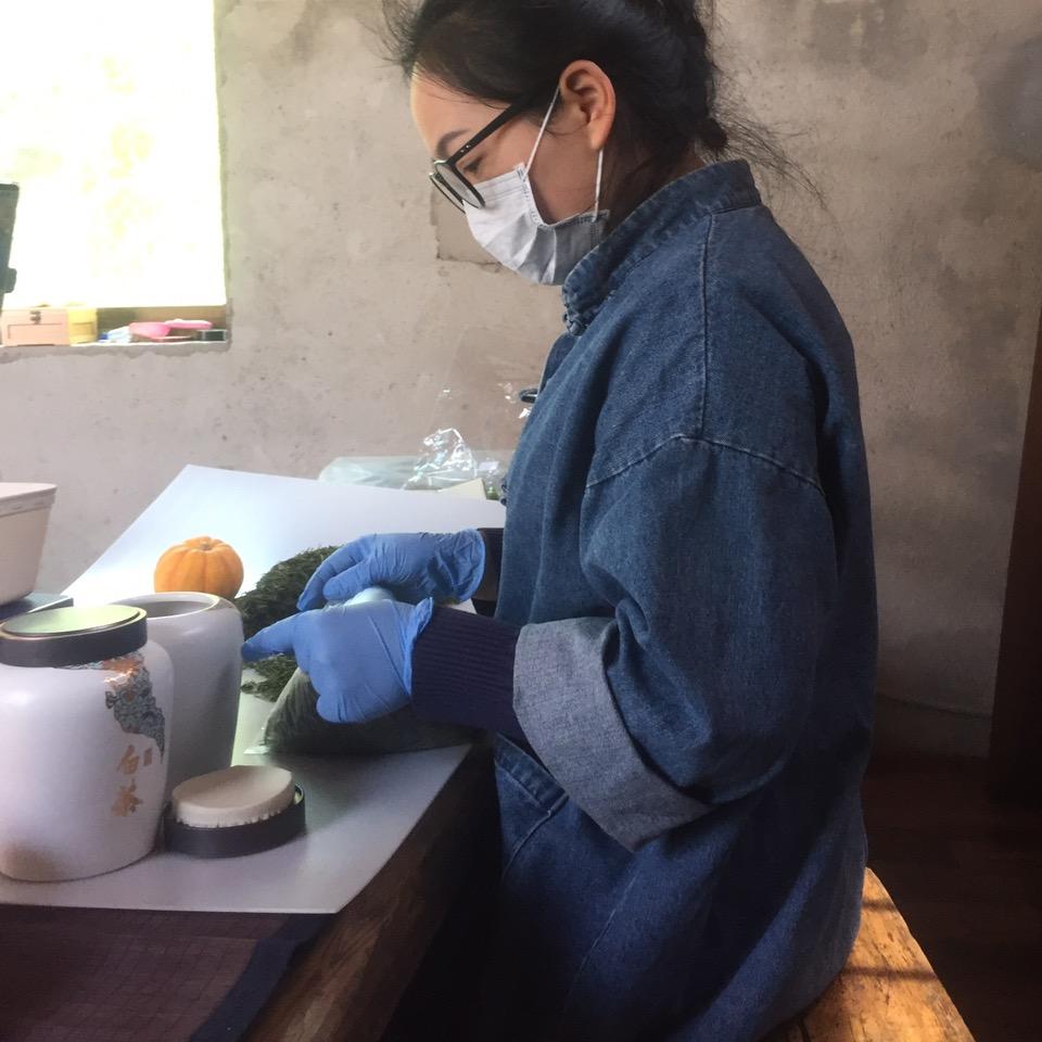 心儒茶场
