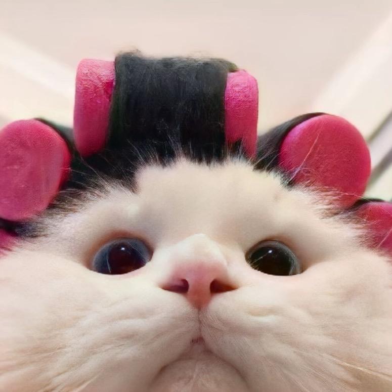 咕噜˶˃ᵕ˂˶ㅤㅤㅤ