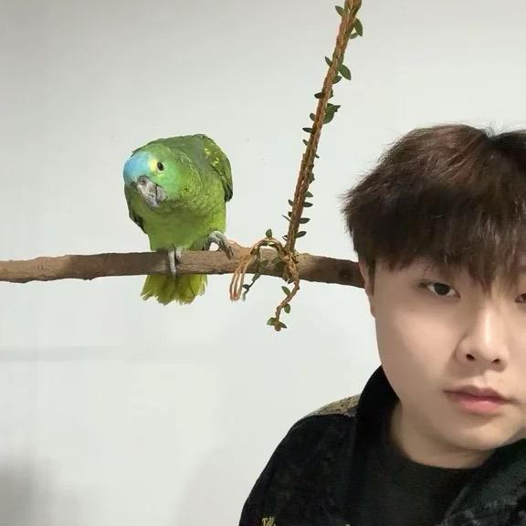 一介鸟人TT