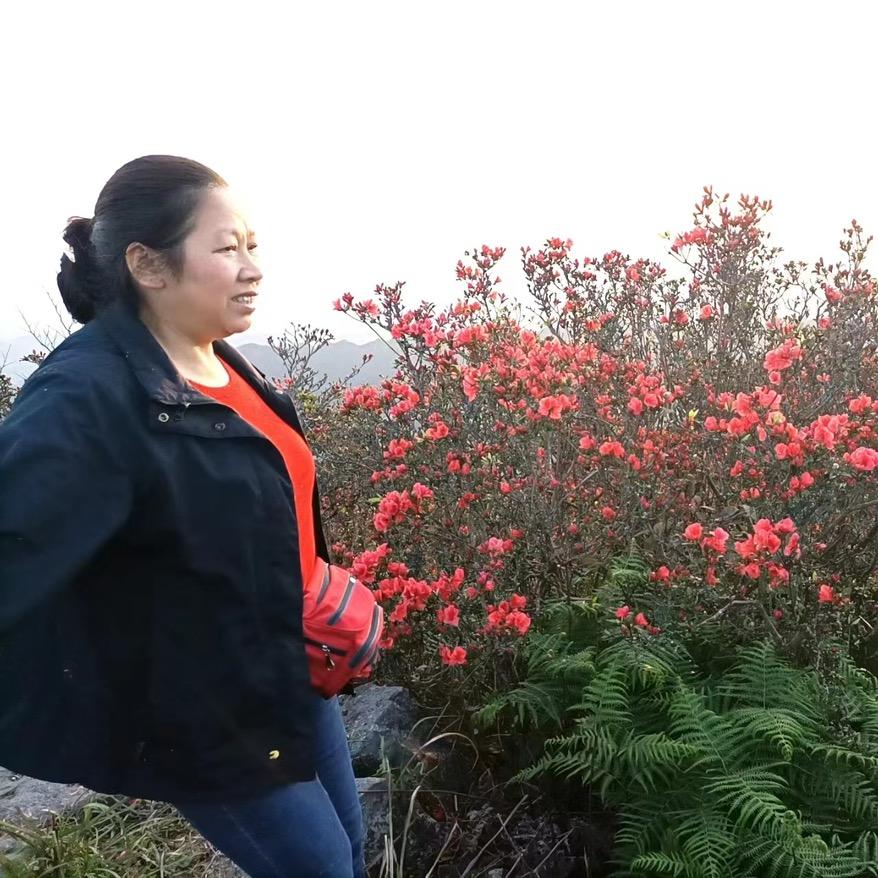 唐糖传统推荐