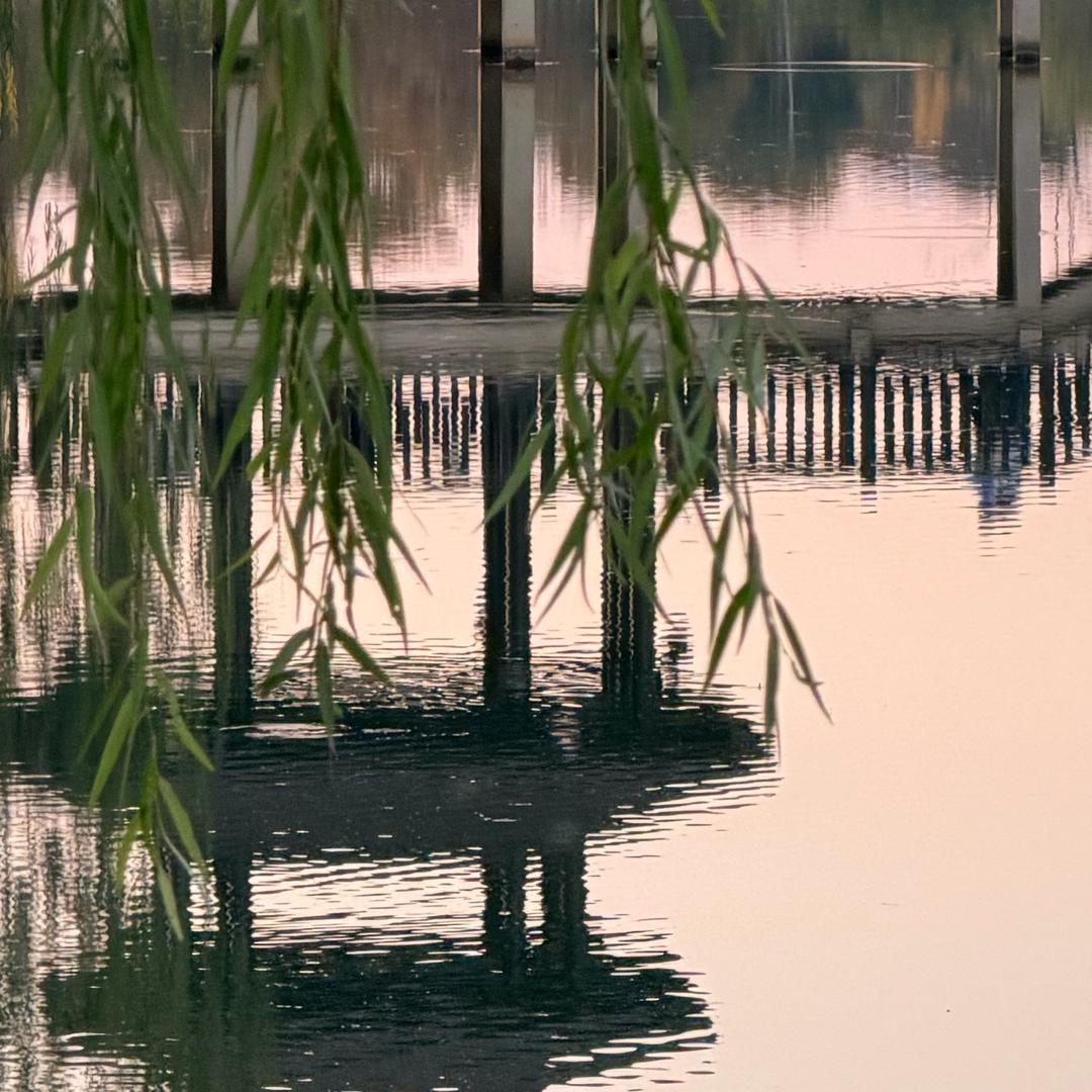 梦想是躺平