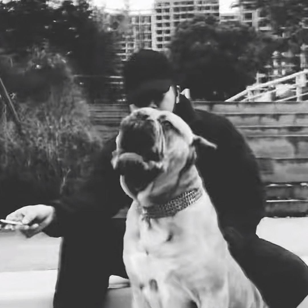 衙内（接代训）