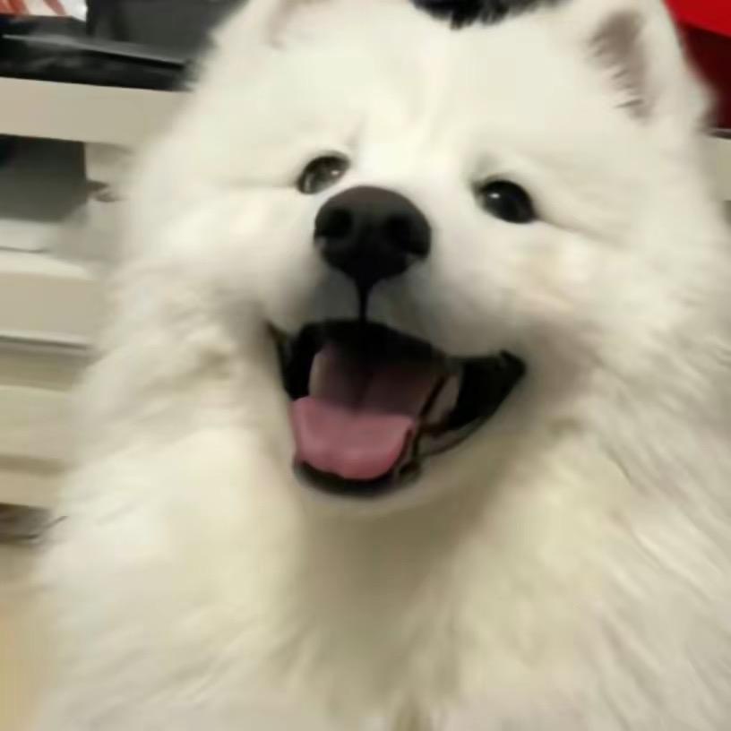 别烦