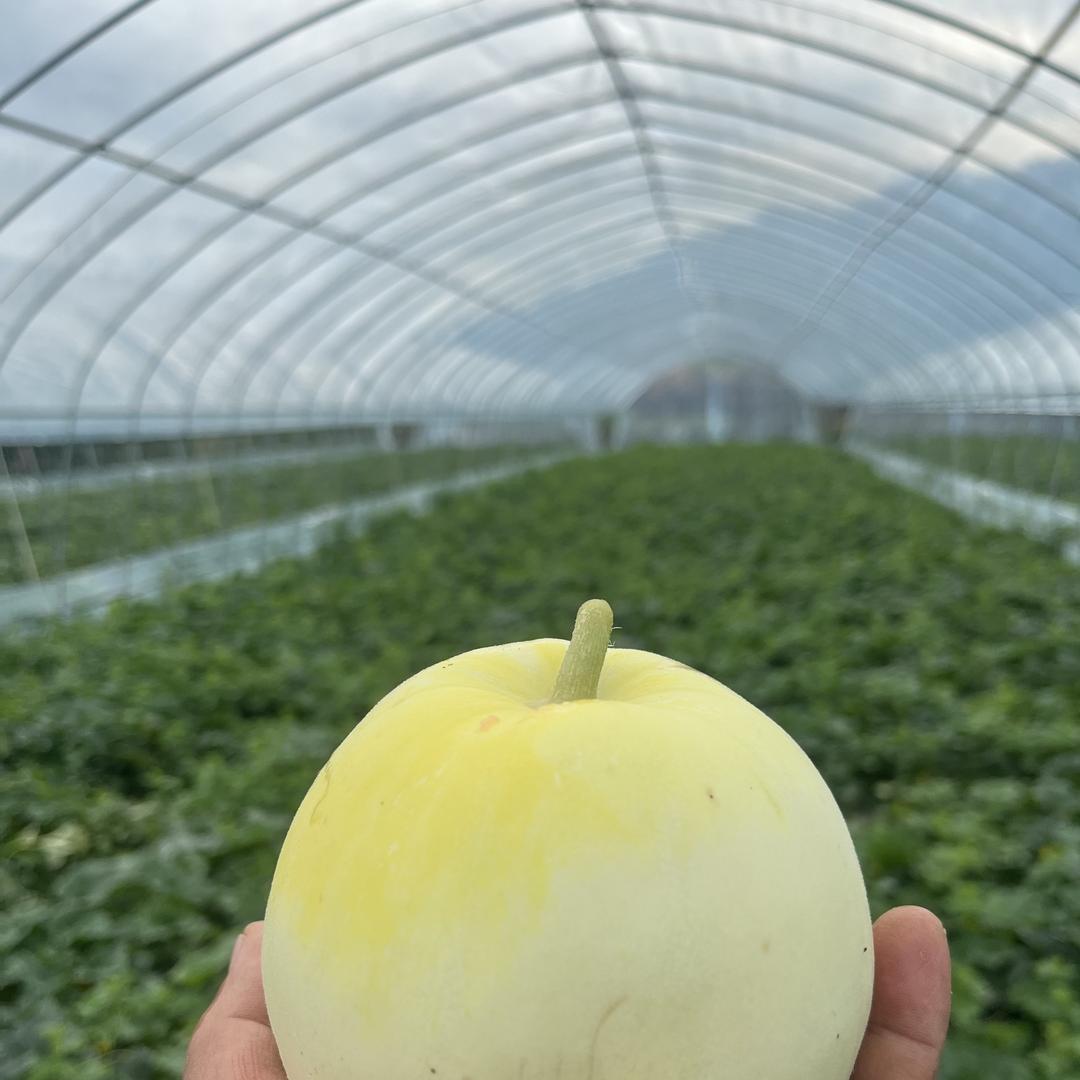 衢州市衢江区旺新家庭农场