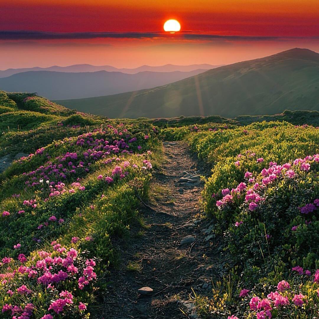 陈大美🧑🏿‍🎤