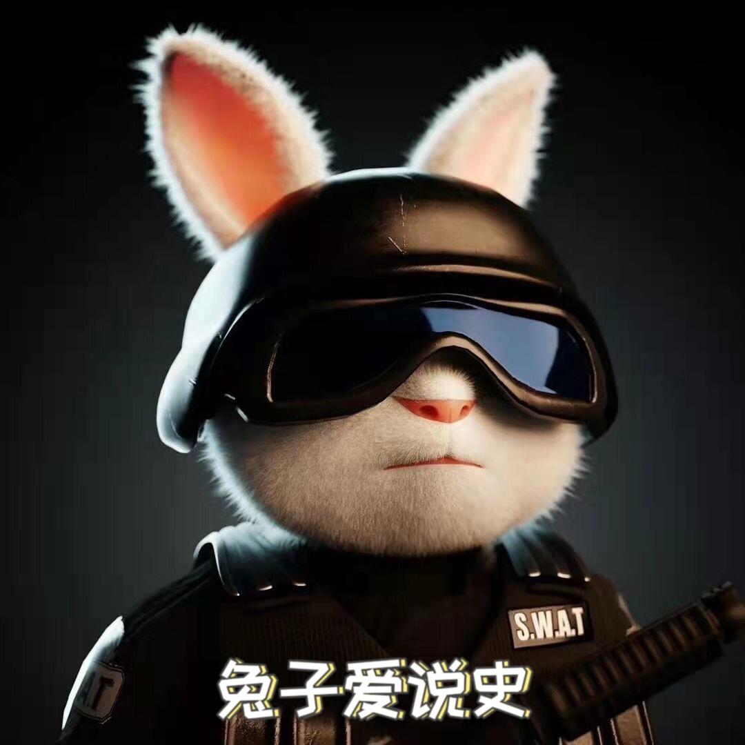 兔子爱说史